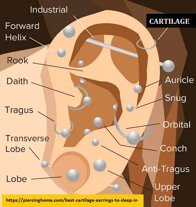 Cartilage Piercing Chart