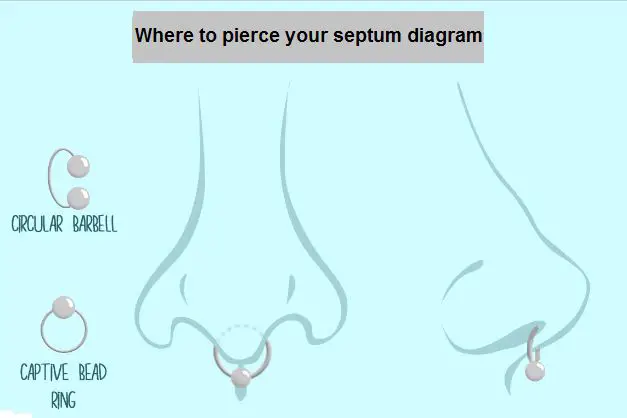 where to pierce your septum diagram