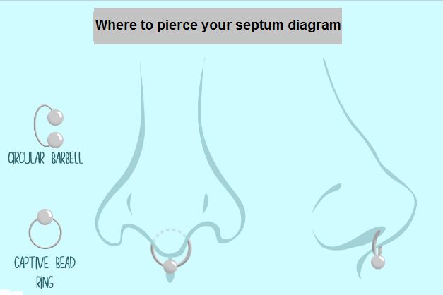 kde se probodne septum diagram